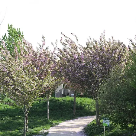 Luksusowy namiot Safari