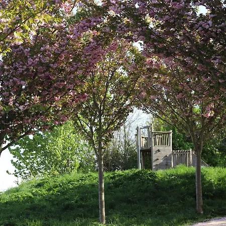 Safaritent Wood Met Tuinzicht Luxury tent *
