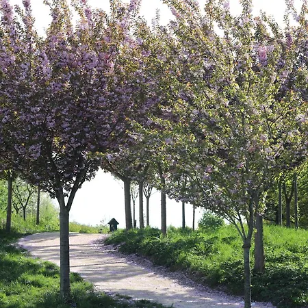 Safaritent Wood Met Tuinzicht אוהל מפואר Nieuwe Wetering