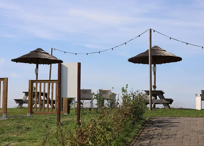 Safari * Nieuwe Wetering