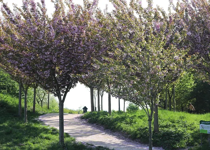 Safari Luxuszelt Nieuwe Wetering