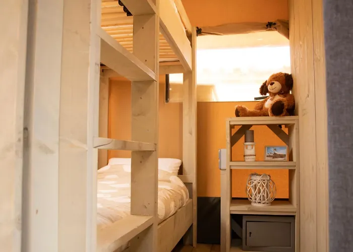 Safari Campo de lujo *