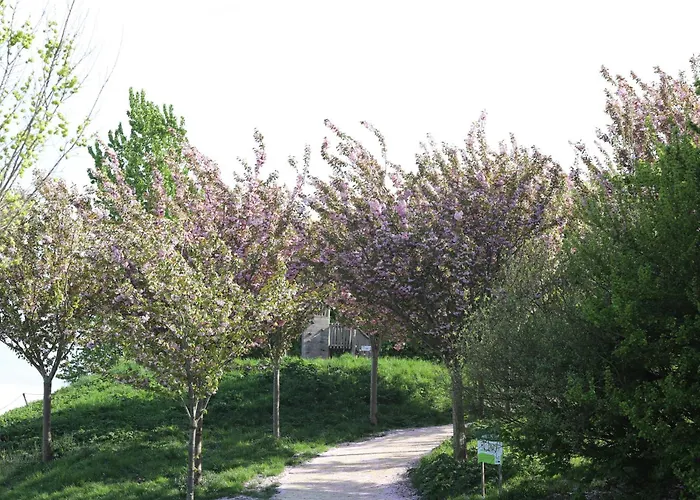 Campo de lujo Safari