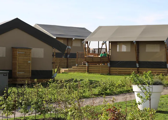 Safari * Nieuwe Wetering