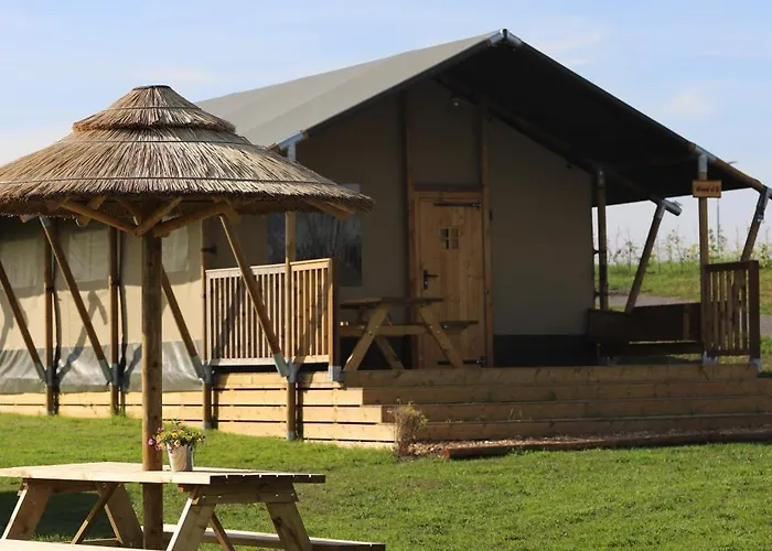 Campo de lujo Safari