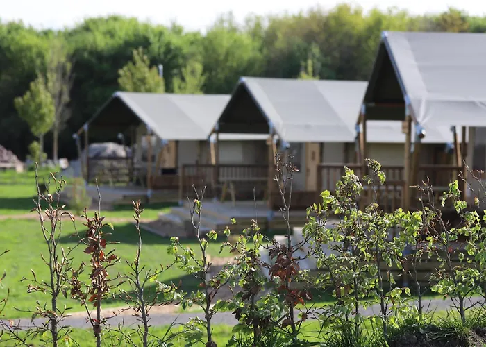 Campo de lujo Safari *