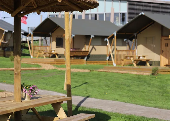 Safari Campo de lujo *